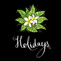 Illustration on black background with tropical flowers and an inscription Holidays. Asia, Plumeria, frangipani. Vector
