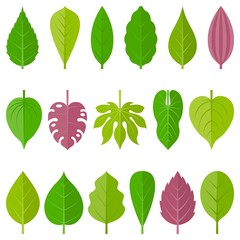 leaves icon set 1, flat design