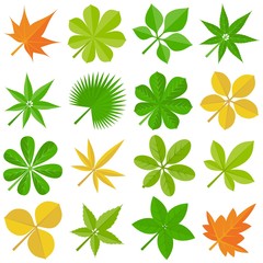 leaves icon set 3, flat design