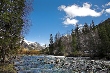 Spring mountain river