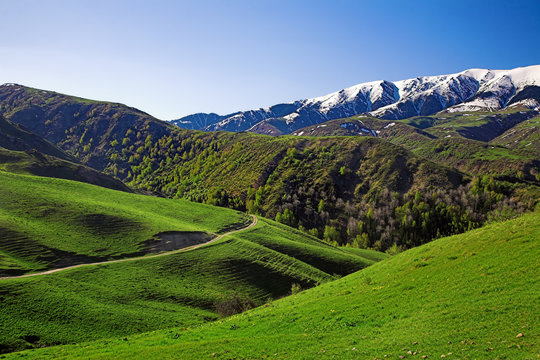 Green hll landscape