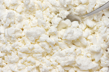 Cottage cheese close-up