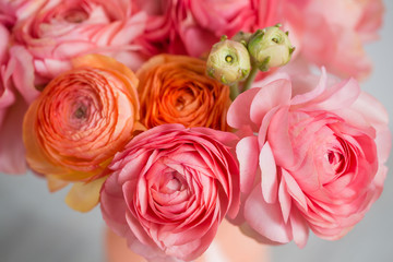 bunch of pale pink ranunculus persian buttercup  light background, wooden surface. glass vase - obrazy, fototapety, plakaty