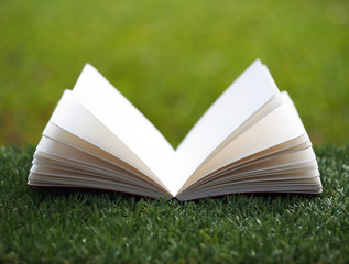 Open book with flower on grass
