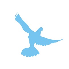 птица и лицо