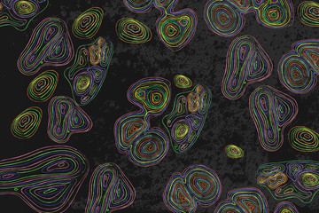 Ornaments pattern vector