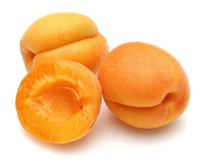 Apricot