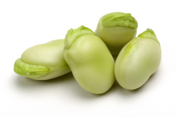 Peeled Broad Bean 
