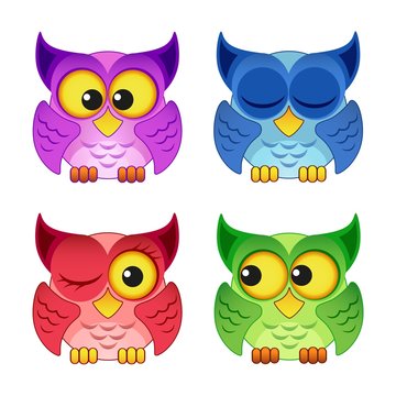 Cute colorful owls isolated on white background