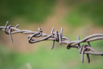 Tangled Web of Barbed Wire