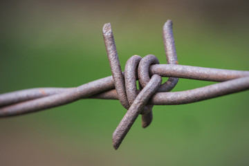 Sharp Twisted Barbed Fence