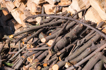 Firewood , background, wood, bunch