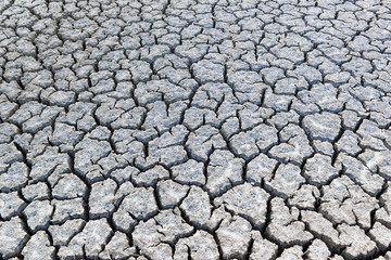 Cracked dry land without water
