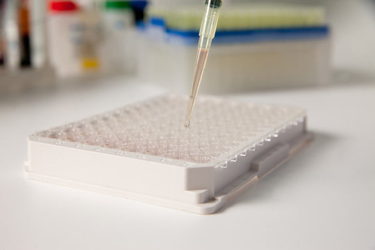 Carrying out laboratory analyzes and tests