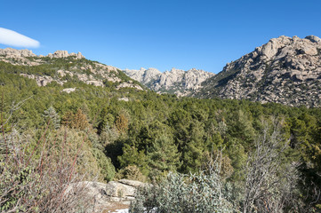 Fototapeta na wymiar Views of La Pedriza, in Guadarrama Mountains National Park, Madrid, Spain. In the background can be seen The Cancho de los Muertos Peak, El Pajaro Peak, Las Buitreras Peak and Sirio Peak