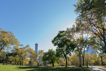 Central Park in New York City on a clear autumn day, facing south