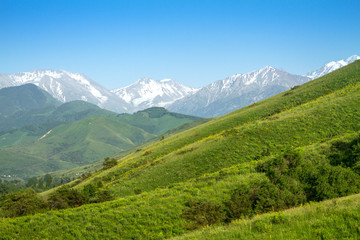 Naklejka premium Beautiful mountain landscape. Snowy peaks, green fields and heav