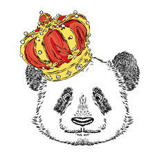 Funny panda in the crown. Vector illustration.