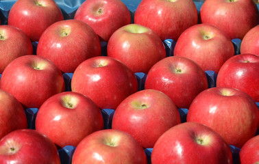 ripe apples  for sale in a display crate