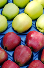 selected ripe apples  for sale in a display crate