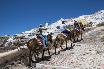 Donkey ride santorini © Nikokvfrmoto