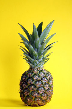 a whole pineapple on a yellow background