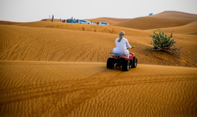ABU DHABI, UAE - FEBRUARY 01: Desert safari in Dubai, United Ara