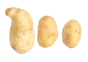 set fresh potatoes isolated on white background, with clipping path