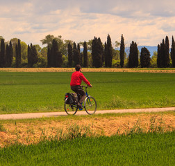 Cyclist in the nature reserve of the Isonzo river