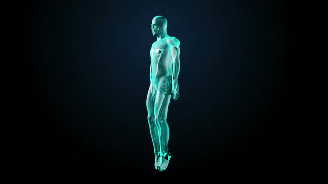 Rotating Human skin body, Blue  X-ray light.