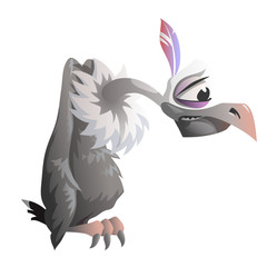 Cartoon vulture on a white background