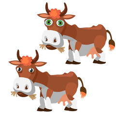 Two funny brown cow in cartoon style isolated