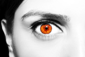 Beautiful insightful look brown eyes