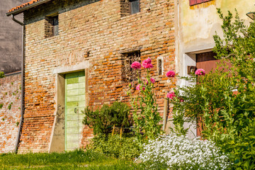 Fototapeta na wymiar flowers and plants and brick wall