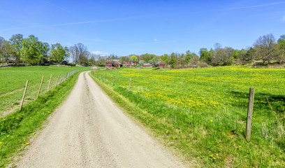 Fototapeta na wymiar Spring road to the Swedish farm