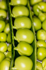 fresh green peas