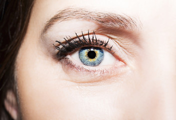Fototapeta premium Beautiful insightful look blue eyes