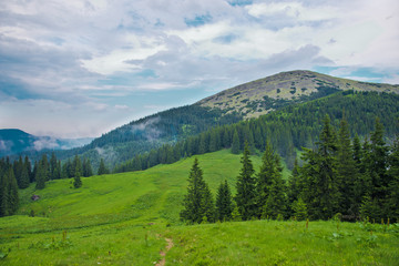 Fototapeta na wymiar Landscape in the Carpathian mountains