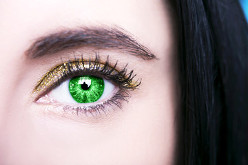 Beautiful insightful look green  woman's eyes
