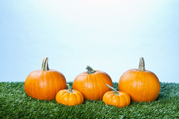 assortment of pumpkins