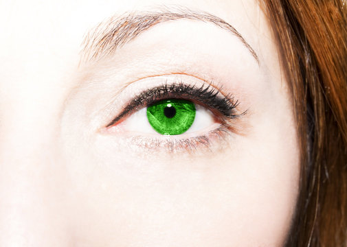 Beautiful insightful look green eyes