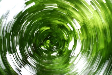 trees blurred in a circle by turning the camera during a long exposure.