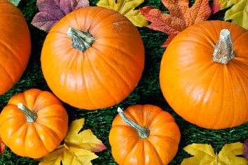 cropped view of halloween pumpkins.