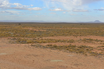 Game Park in South Africa
