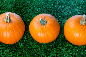 overhead view of halloween pumpkins.