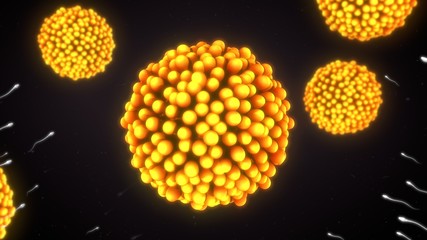 In vitro fertilisation