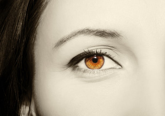 Fototapeta premium Beautiful insightful look women's vintage eyes