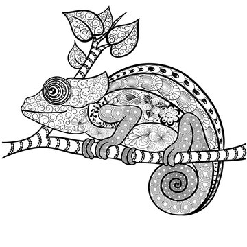Chameleon doodle