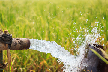Water flow from large pump tube in rice field in central of Thai
