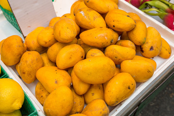 Mangoes